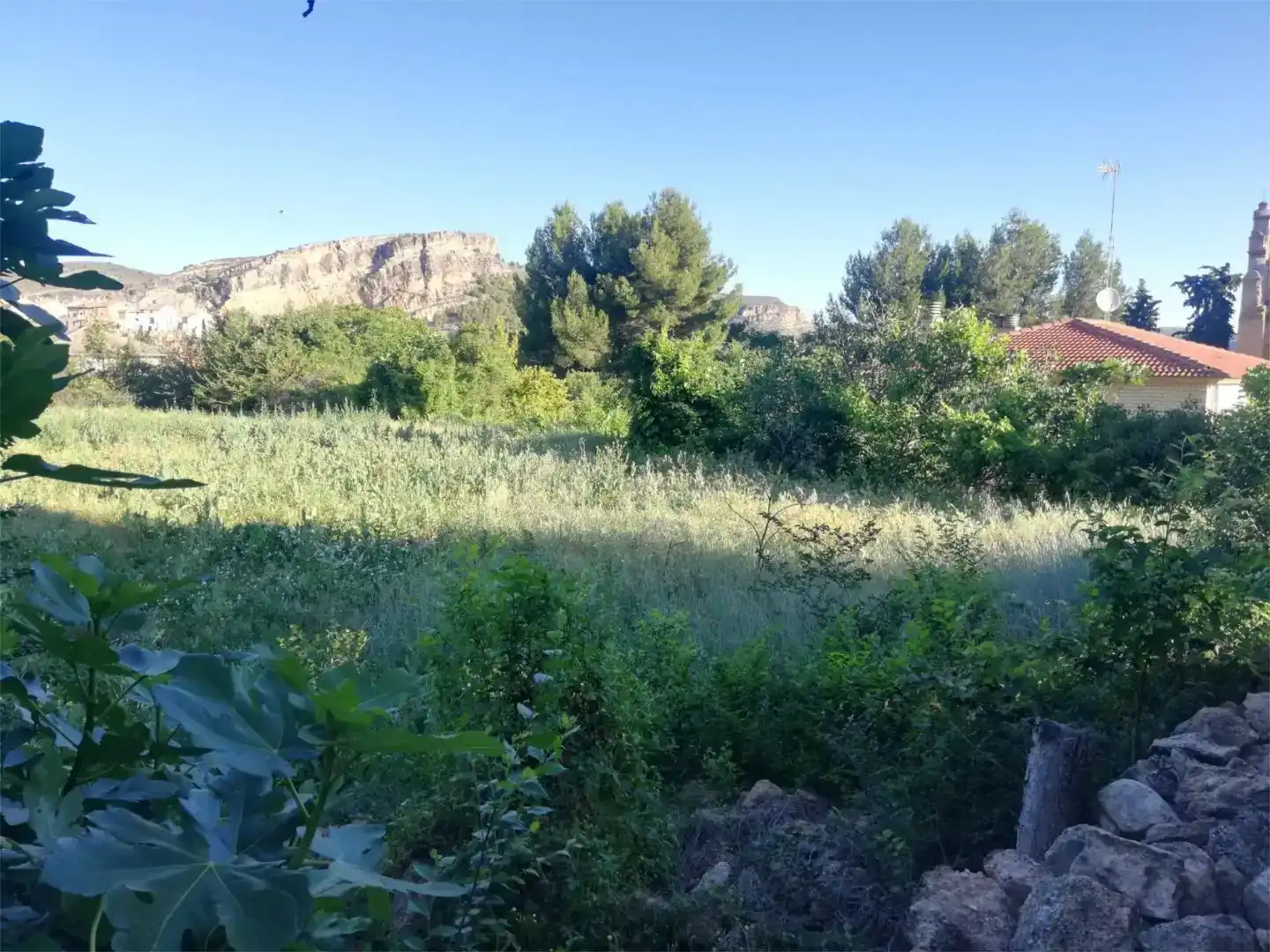 Terreno en venta en Nuévalos