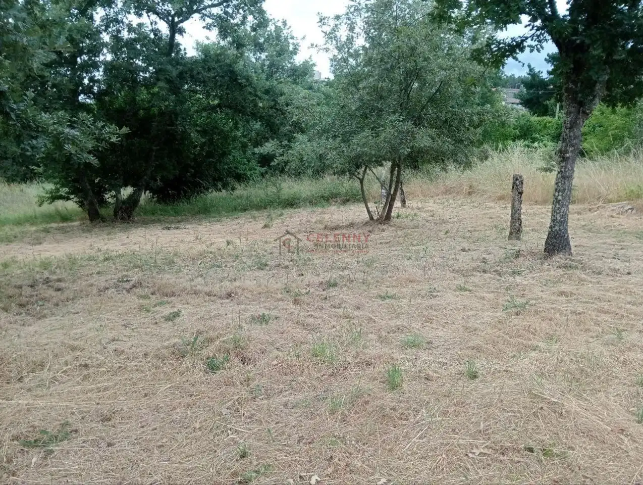 Terreni e lotti in vendita a San Cibrao das Viñas, imagen 4