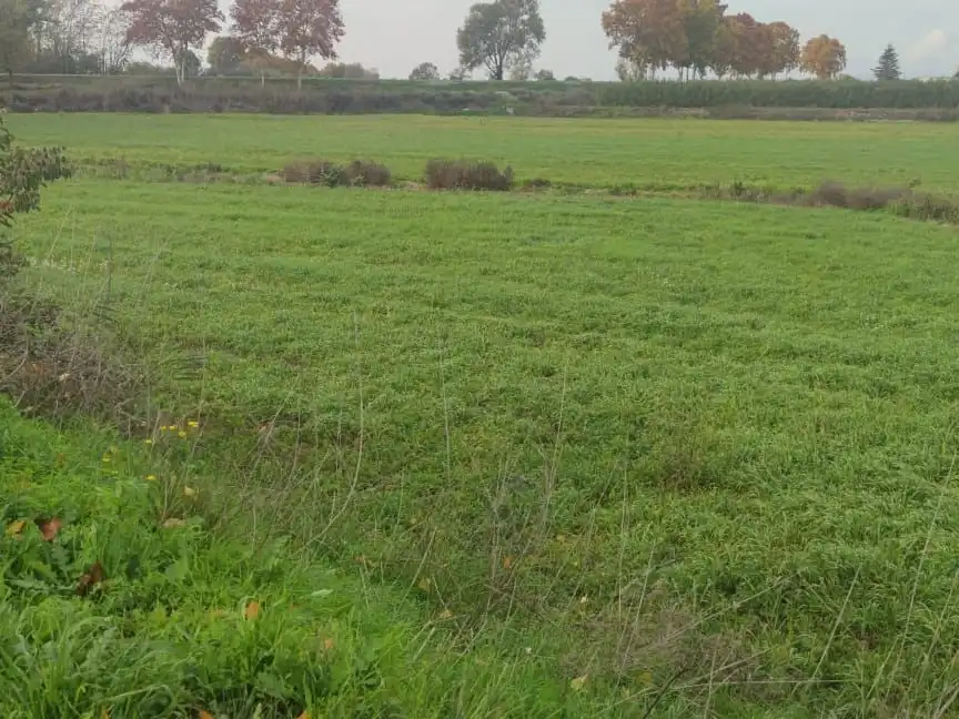 Rustikales Grundstück zum Verkauf in Carretera de Bellpuig 44, imagen 4