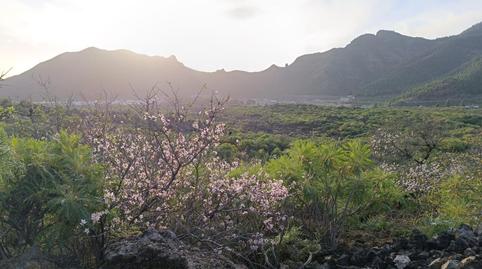 Photo 2 of Land for sale in Santiago del Teide pueblo, Santa Cruz de Tenerife