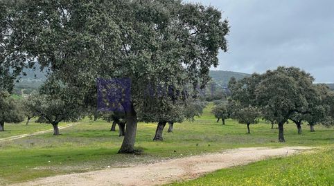 FINCA POR LA ZONA DE JARAICEJO