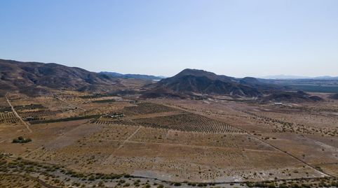 Gran Oportunidad en Tabernas! Finca de 14 Hectáreas, immagine 3