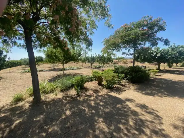 Finca rústica en venta en Sonseca con Calefacción, Jardín privado y Terraza