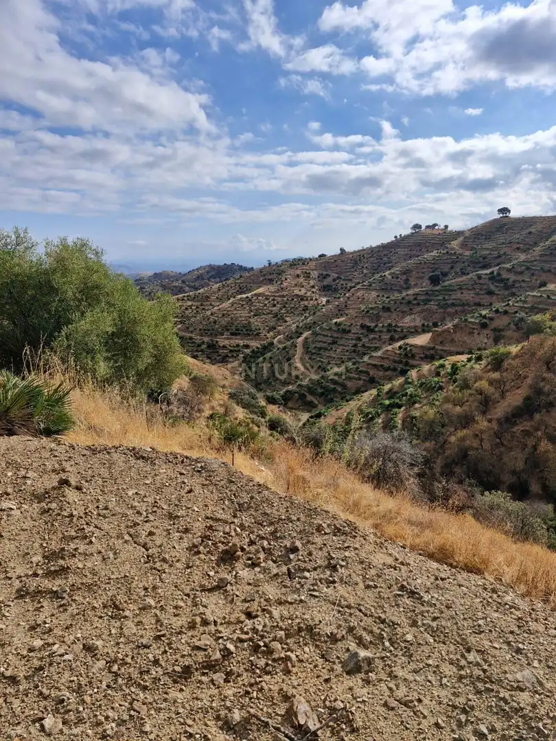 Terreny rústic en venda a 29100 Coín, Málaga, Spain, imagen 8