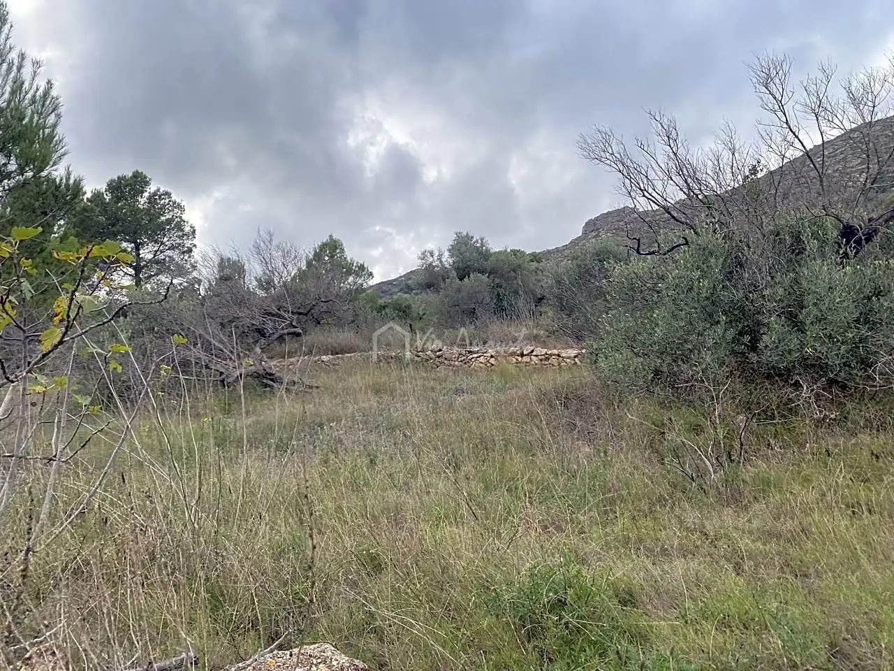 Terrain rustique à vendre à Bordes, imagen 14