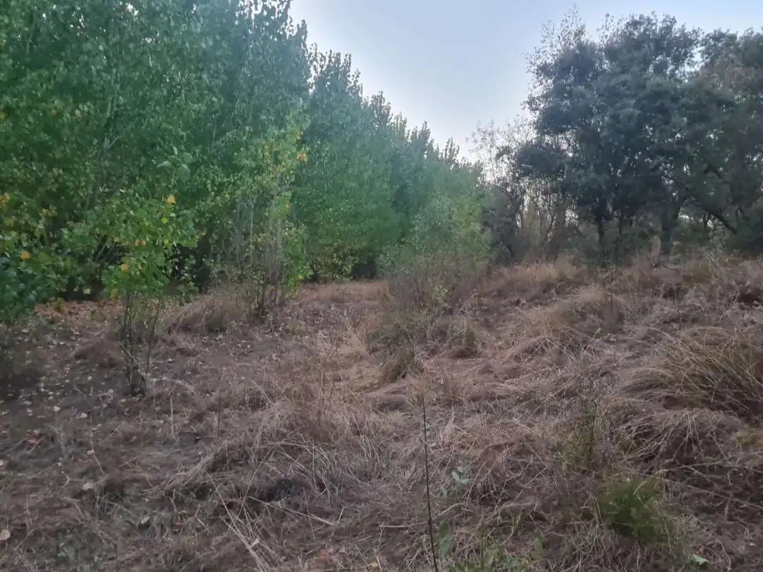 Terreni e lotti in vendita a Escalona, imagen 21