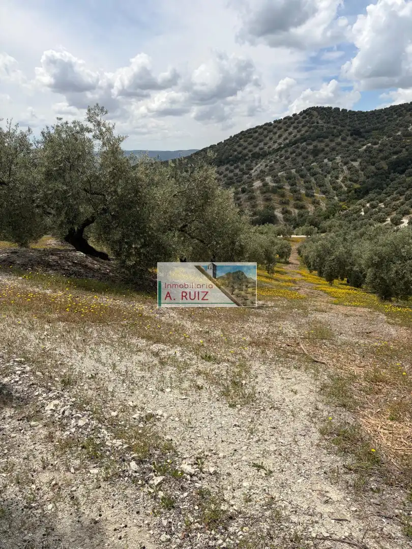 Rural land for sale in Iznájar, imagen 5