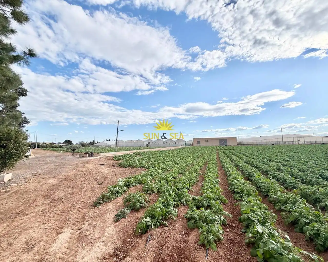 Casa con piscina en venta en San Pedro del Pinatar, imagen 53