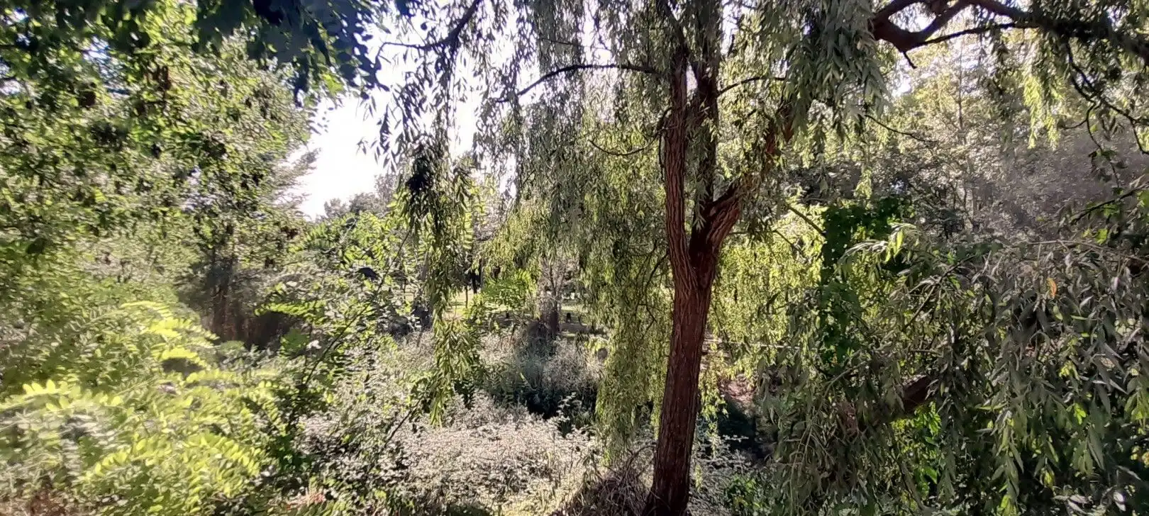 Casa rústica en venda a Murillo de Río Leza, imagen 4
