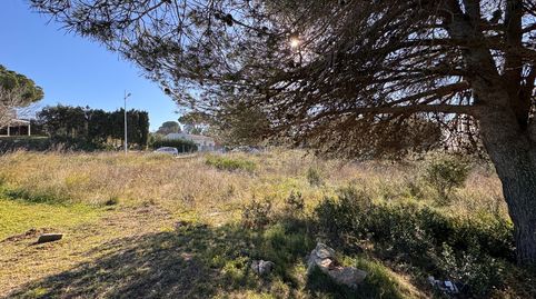 BAIX EMPORDÀ, PALAFRUGELL, PARCELA URBANA., immagine 2