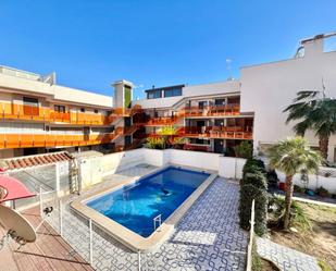 Swimming pool of Flat to rent in Torrevieja  with Air Conditioner, Heating and Terrace