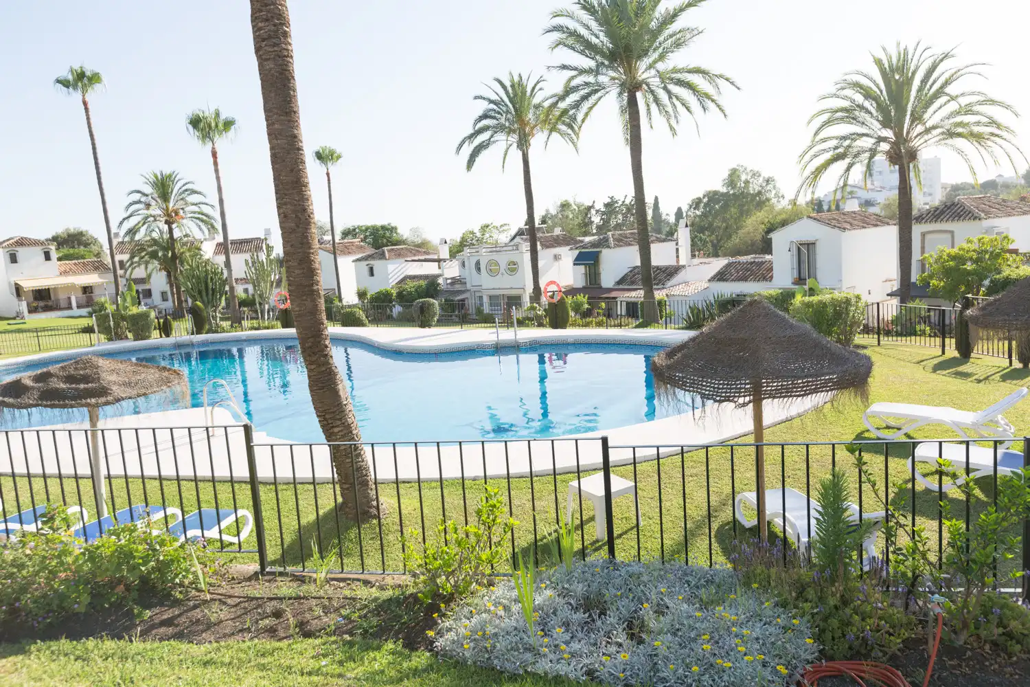 Ground floor for rent in Bello Horizonte - Lindasol