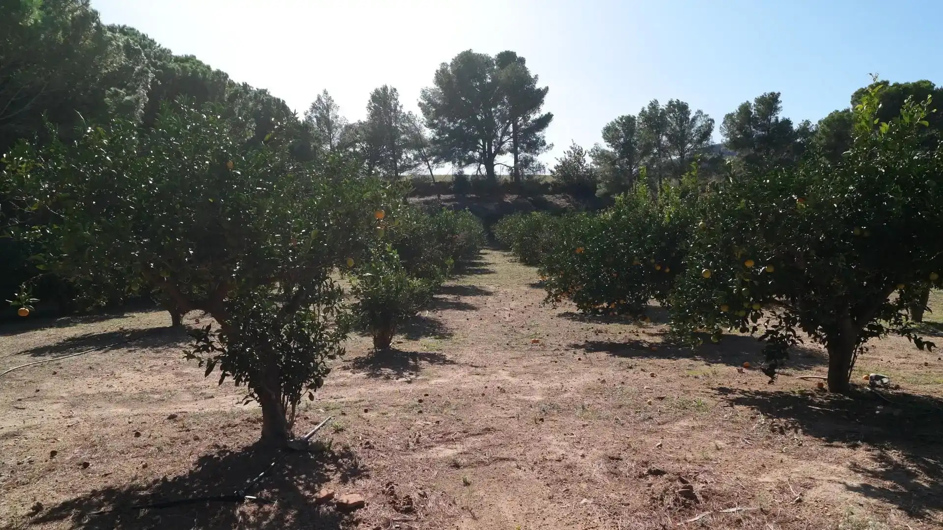 Casa o xalet en venda en Vilanova d'Escornalbou amb Aire condicionat i Piscina