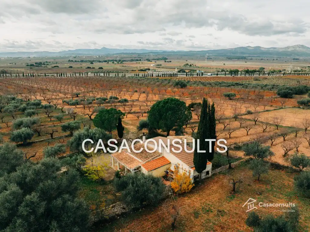 Casa rustica con terrazza in vendita a Vilanova d'Alcolea, imagen 21