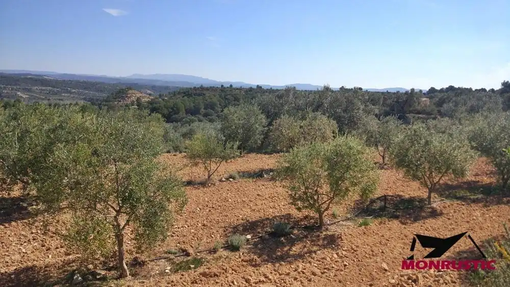 Terrain rustique à vendre à Riba-roja d'Ebre, imagen 11