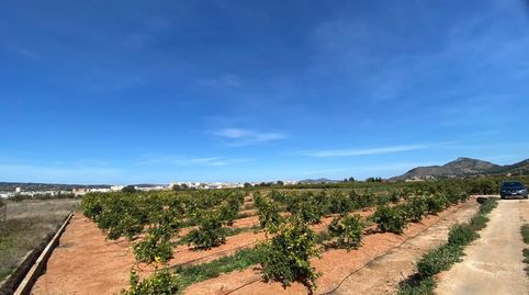 Finca Agrícola en Pla Nou de Canals, immagine 4