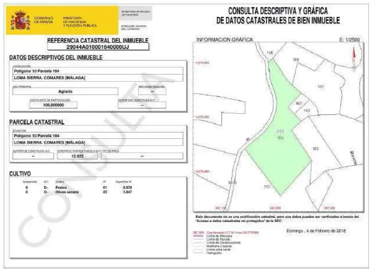 Finca rústica en venta en Periana