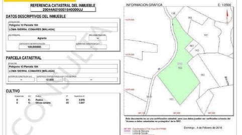 Foto 4 de Finca rústica en venta en Periana, Málaga