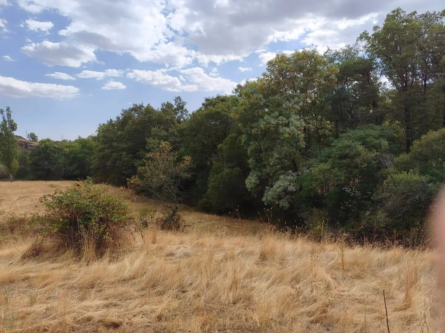 Terreno en venta en Piñuécar-Gandullas