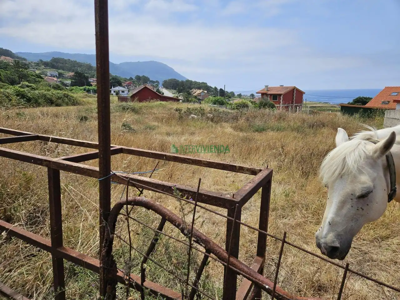 Terrenys i solars en venda a Oia