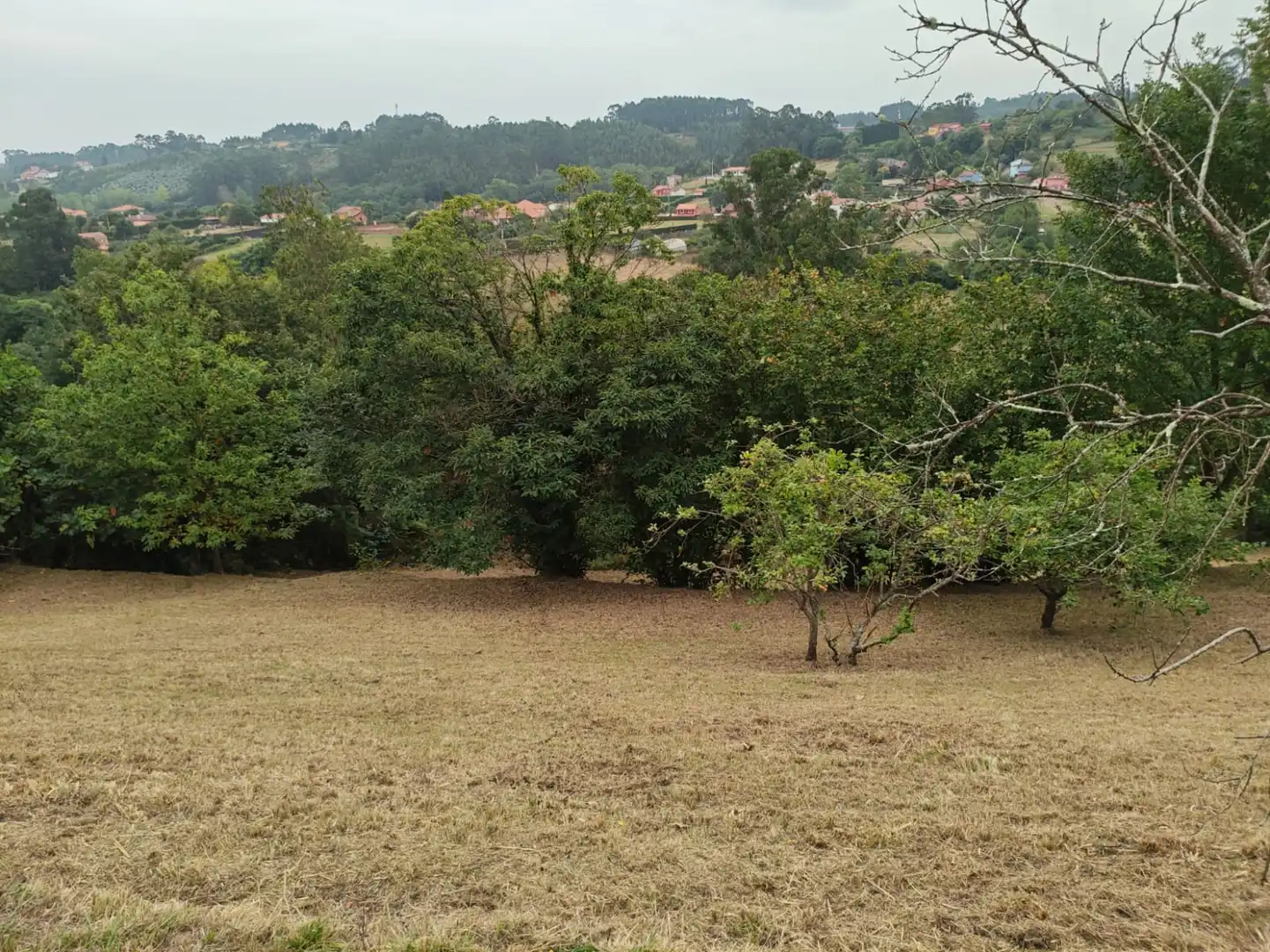 Houses for sale in Castrillón