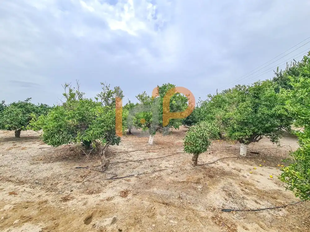 House for sale in Huércal-Overa, imagen 13