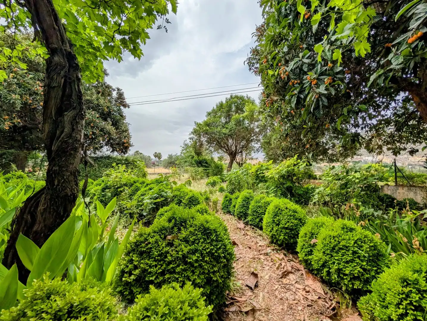 Casa o xalet en venda en Loja amb Aire condicionat, Calefacció i Jardí privat