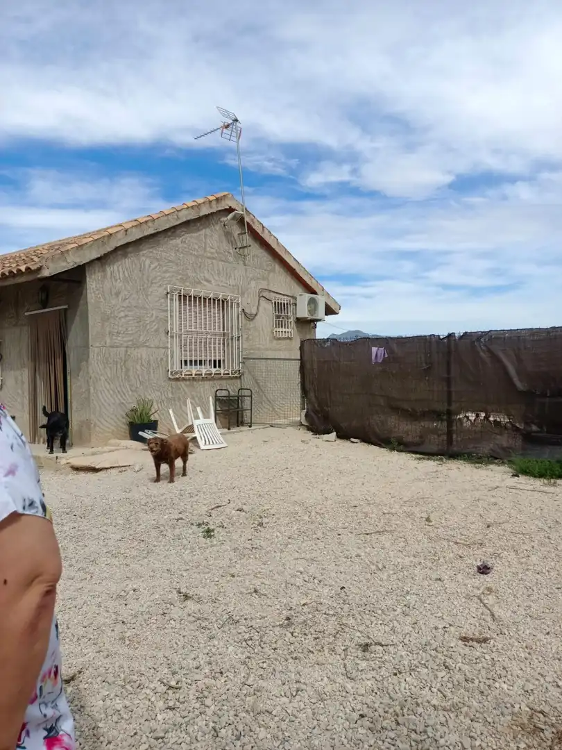 Vista exterior de Finca rústica en venda en Molina de Segura amb Aire condicionat, Calefacció i Piscina