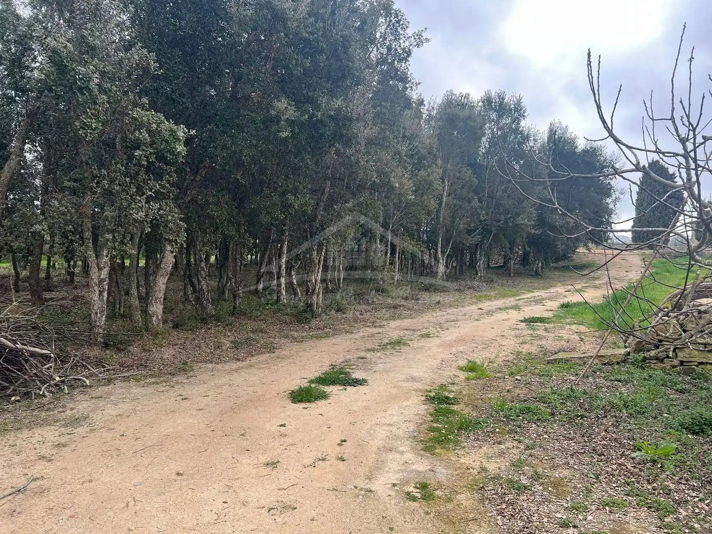 Finca rústica en venda en Palafrugell amb Aire condicionat, Calefacció i Jardí privat