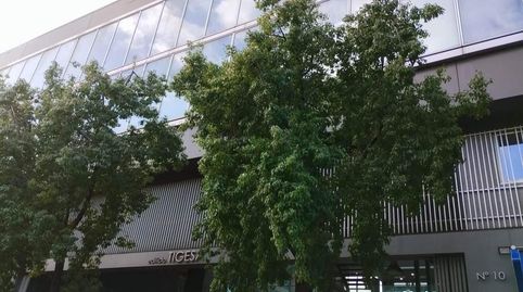 Foto 3 de Oficina en venda a El Plantinar – Avda. La Paz - El Juncal, Sevilla Capital