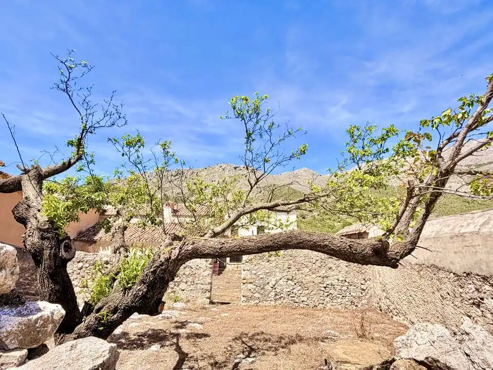 Casa rústica con jardín en venta en MA-156 1, imagen 11