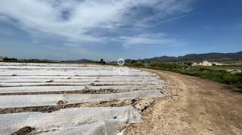 Photo 5 of Residential for sale in Calle Camino de Los Tollos, La Hoya, Lorca