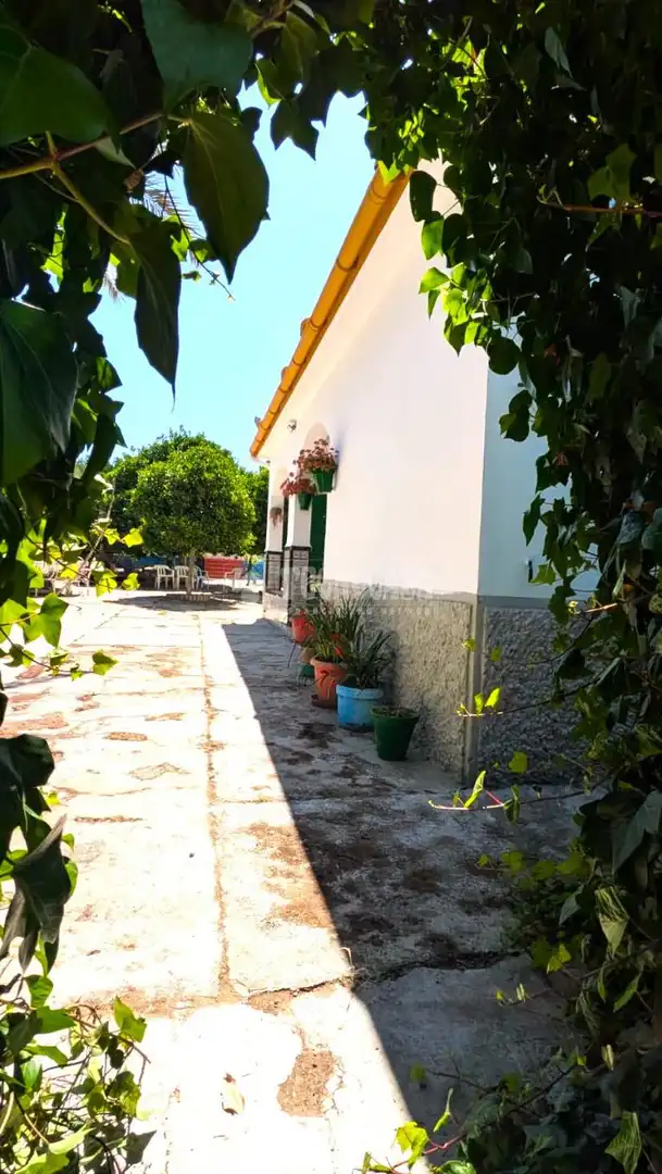 Casa rústica amb piscina en venda a Marchena, imagen 23