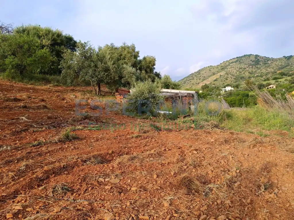 Terrenys i solars en venda a Partida Llano Comisario, imagen 3