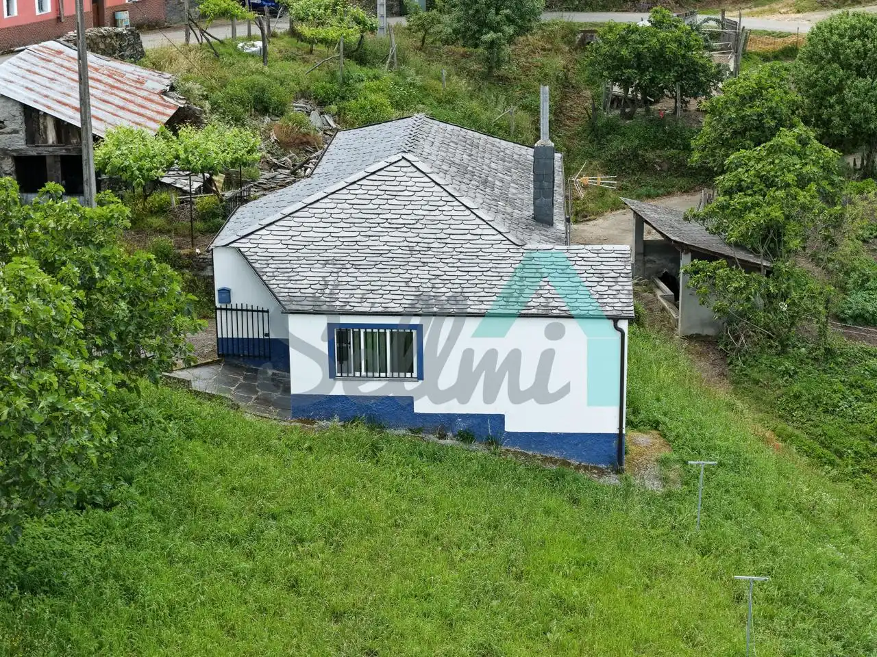 Vista exterior de Casa o chalet en venta en Grandas de Salime con Jardín privado y Parquet