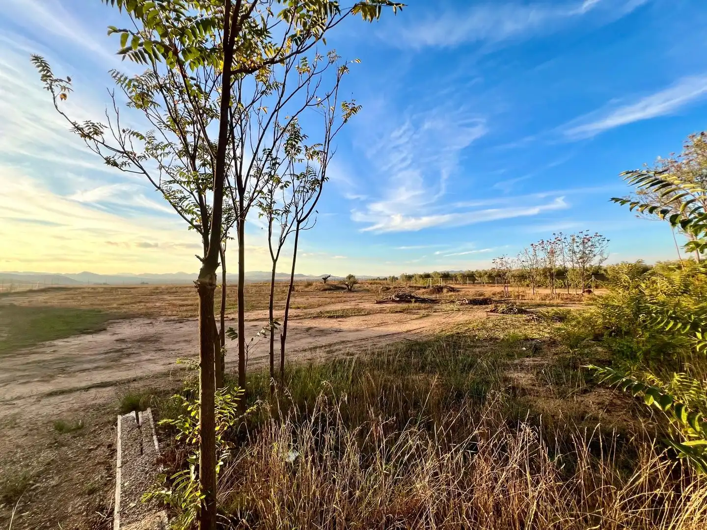 Finca rústica en venda a Yecla