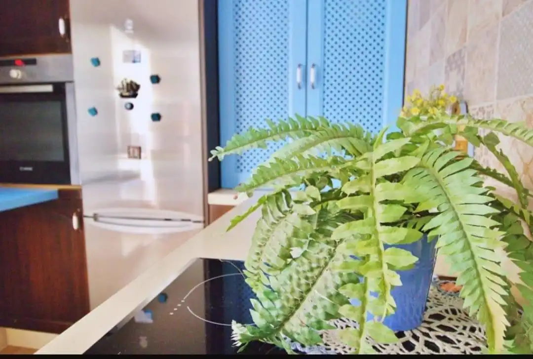 Piso en venta en Elche / Elx con Amueblado y Balcón