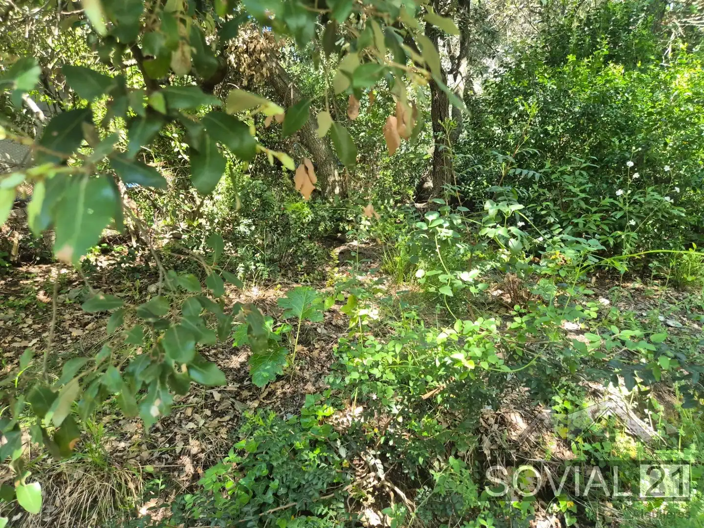 Terreno residenziale in vendita a Les Planes, imagen 20