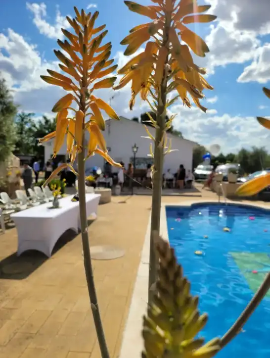 Casa o chalet en venta en Ciudad Real con Aire acondicionado, Calefacción y Terraza