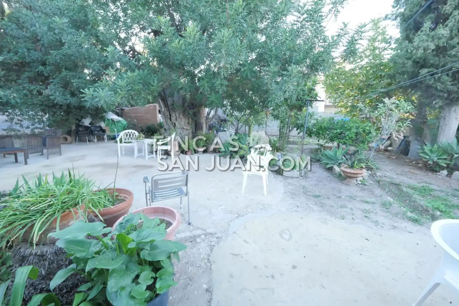 Chalet con jardín en venta en Partidas de Alicante, imagen 20
