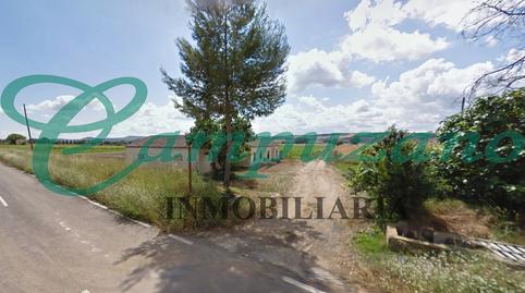 Photo 4 of Land for sale in N/a, -1, Calera y Chozas, Toledo