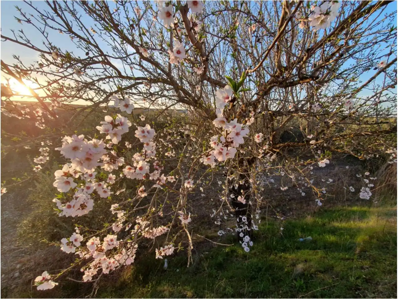 Jardín de Residencial en venta en Entrín Bajo