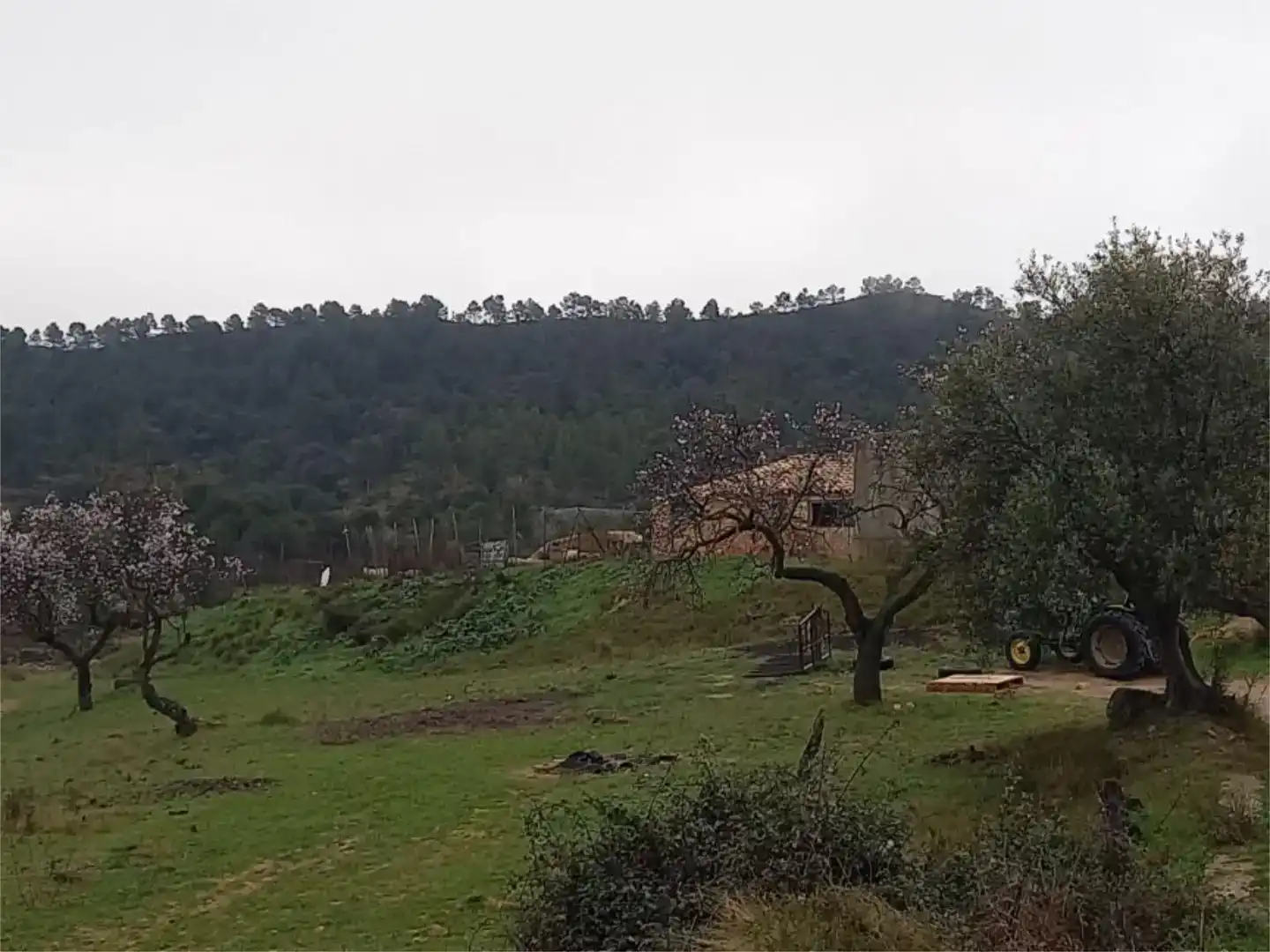 Nau industrial en venda en Horta de Sant Joan