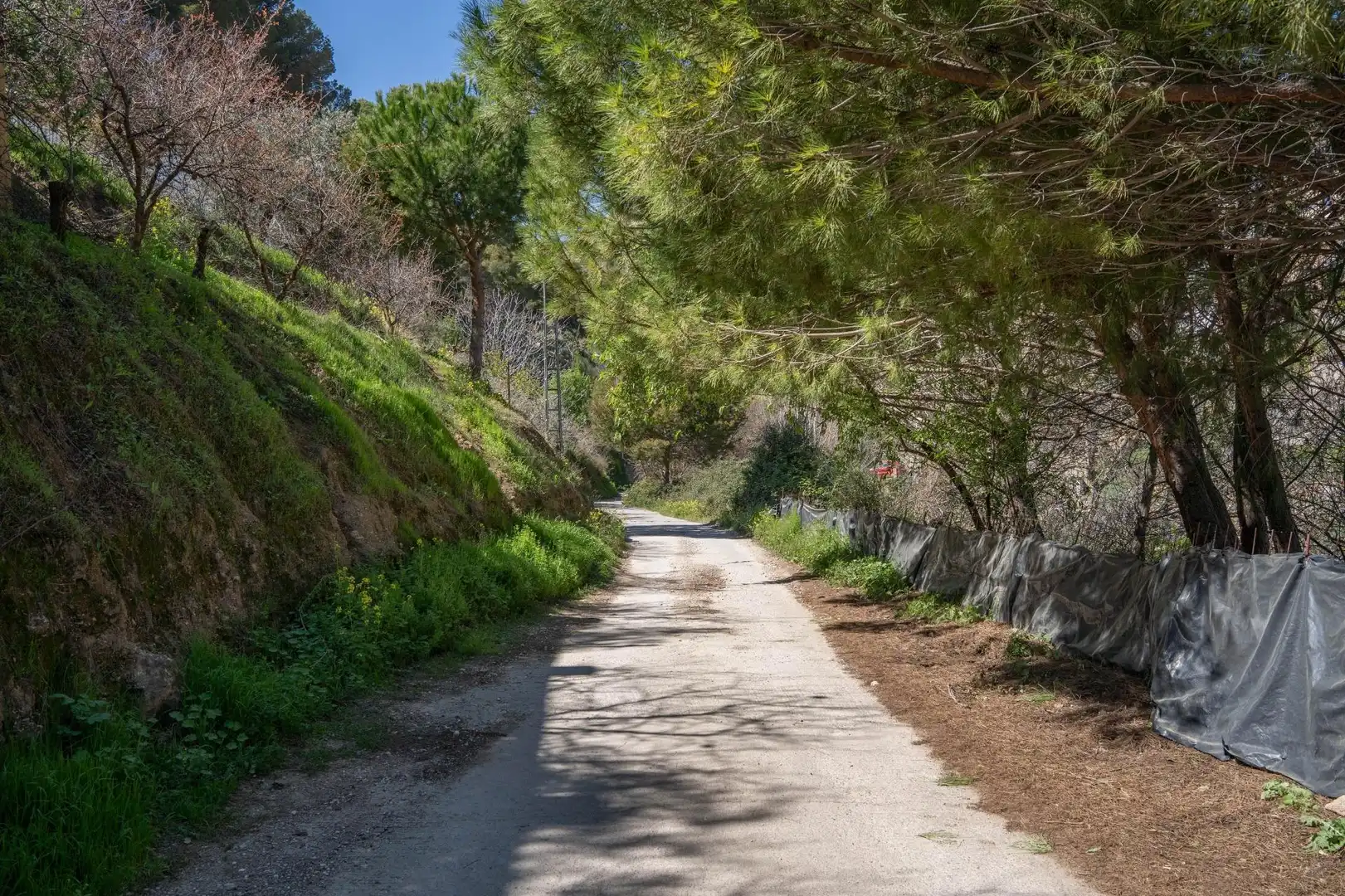 Terreni e lotti in vendita a Villamena, imagen 38