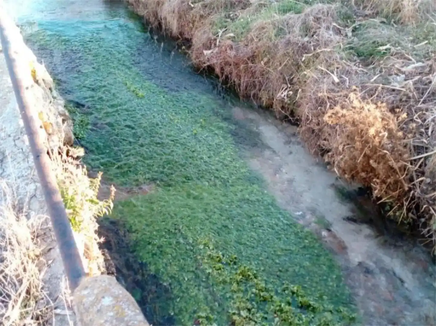Vista exterior de Piso en venta en Fuentes Claras