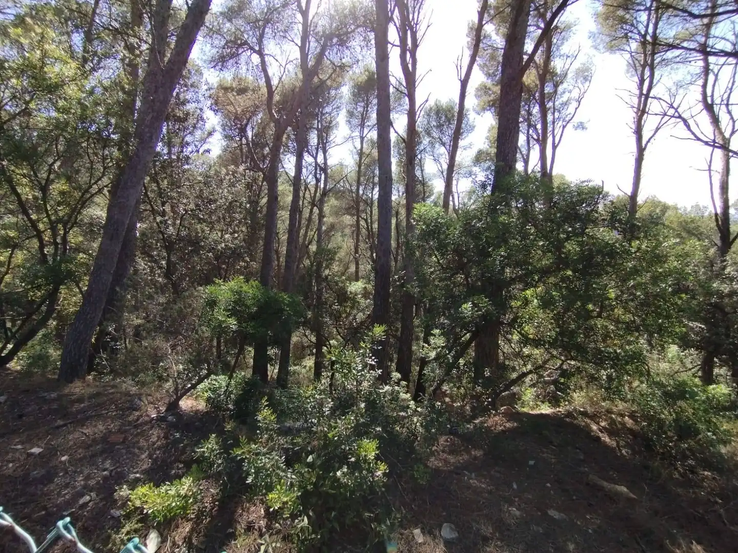 Residencial en venta en Begur