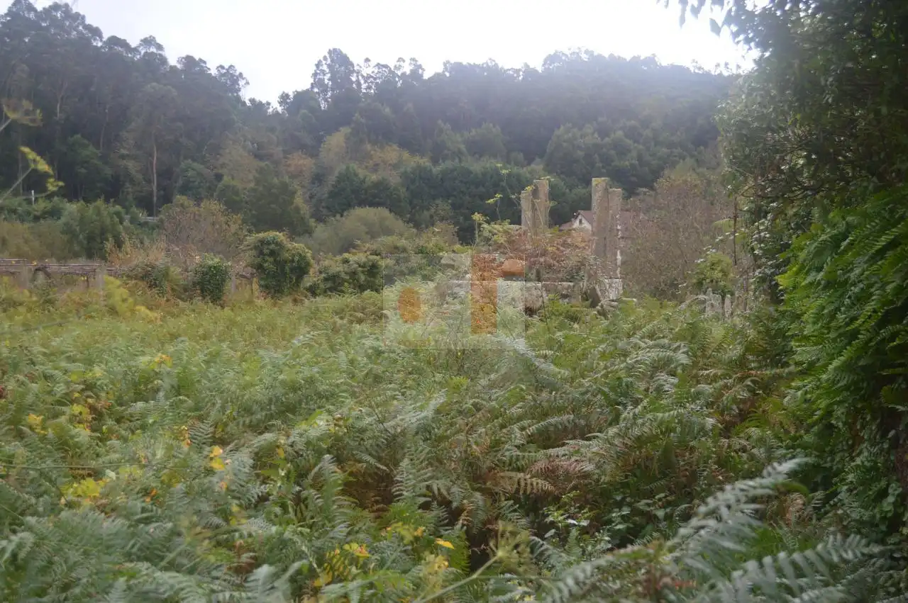 Finca rústica en venda en Moaña amb Jardí privat