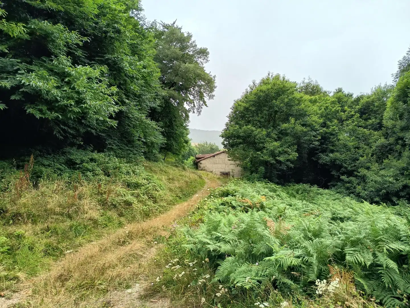 Land for sale in Basaburua