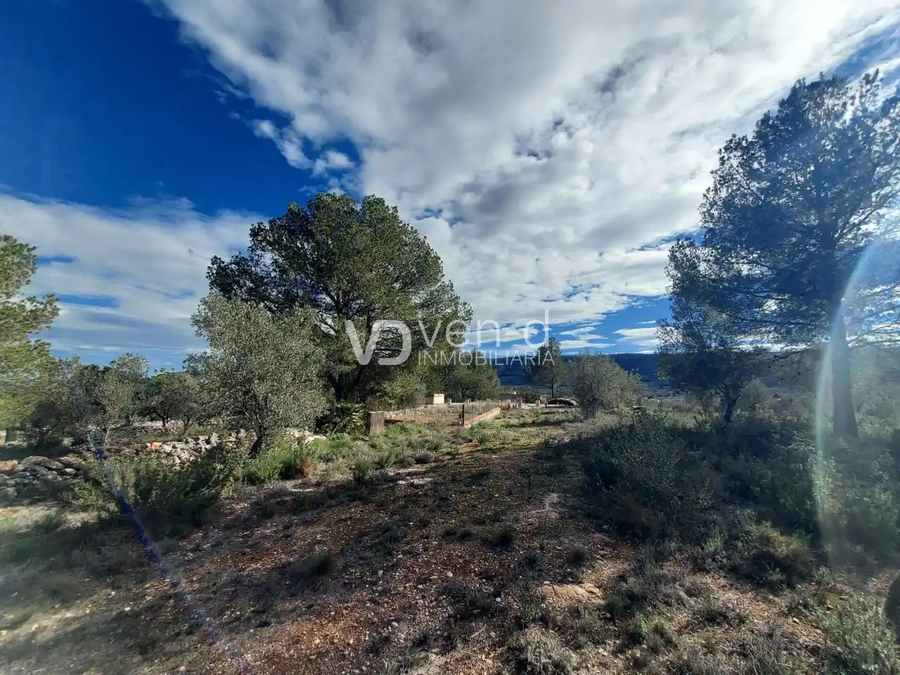 Terreno en venta en Enguera