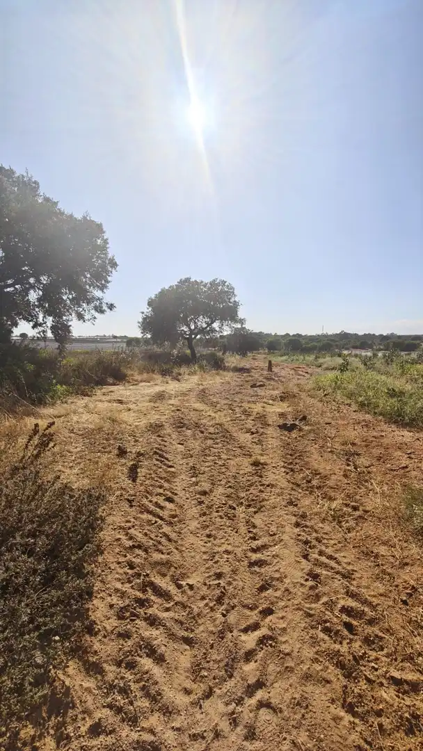 Terreni e lotti in vendita a Villablanca, imagen 6